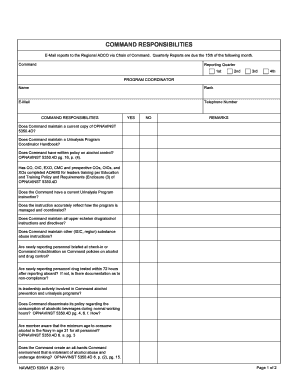 US Navy Command Responsibilities Checklist