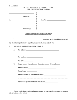 Affidavit of Financial Status