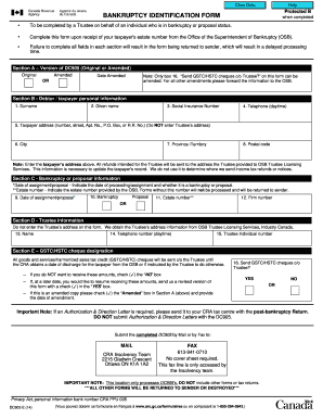 Bankruptcy Identification Form DC905