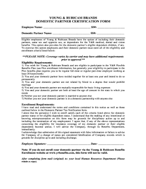 Young & Rubicam Domestic Partner Certification Form