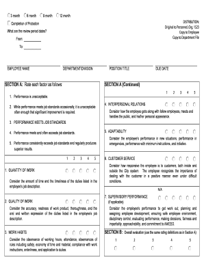 Employee Performance Review Form