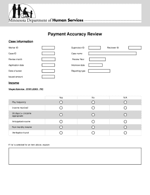 Payment Accuracy Review Form