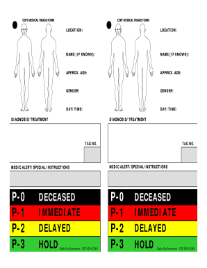 Triage Cards Fill Online Printable Fillable Blank Pdffiller