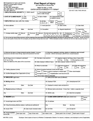 Form preview picture