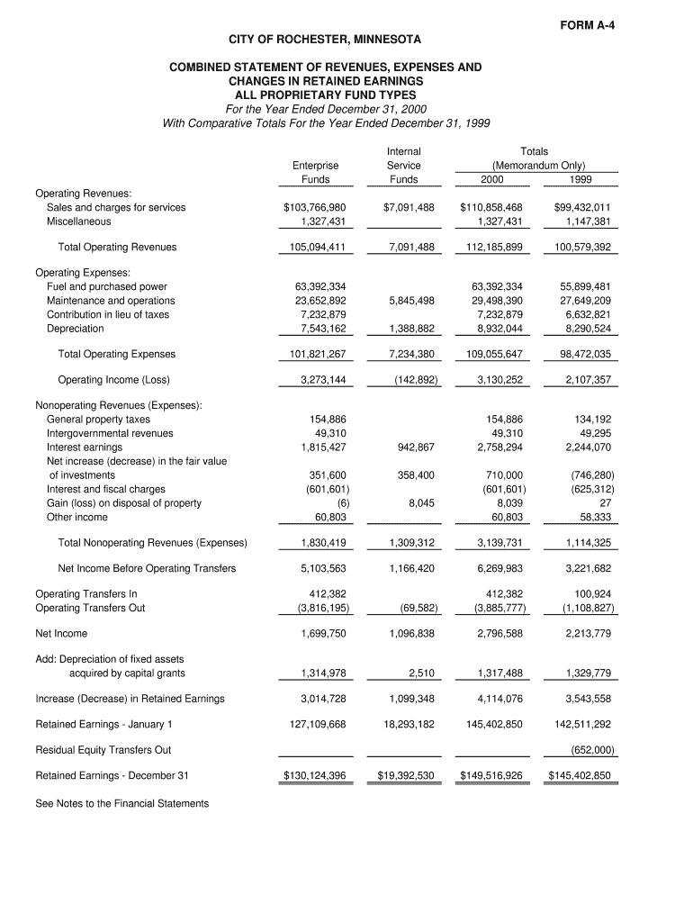 CHANGES IN RETAINED EARNINGS - rochestermn Preview on Page 1