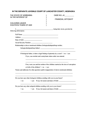 Child Support Financial Affidavit - Lancaster NE - State of Nebraska - lancaster ne