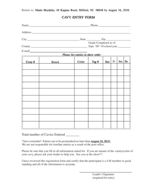 Form preview