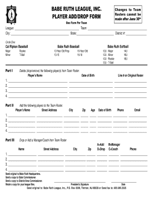 Form preview picture