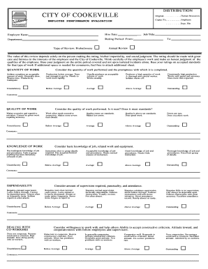 Nursing annual evaluation examples - Employee Performance Evaluation Form - City of Cookeville