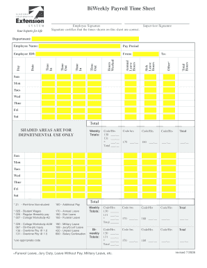 BiWeekly Payroll Time Sheet - aces