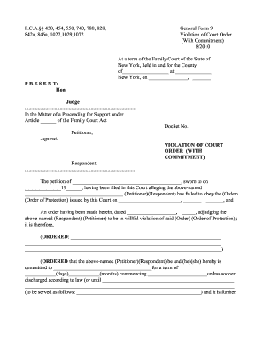 Violation of Court Order Form