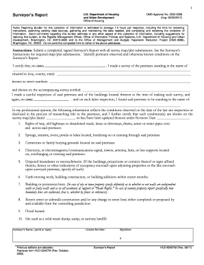 Surveyor's Report Form