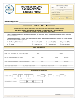 Form preview picture