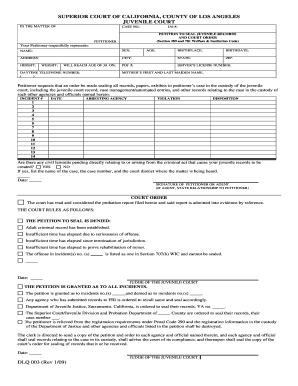 Petition to Seal Juvenile Records