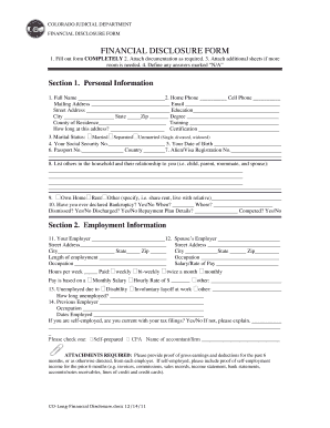 Colorado Judicial Financial Disclosure Form