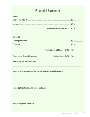 Financial Summary Form