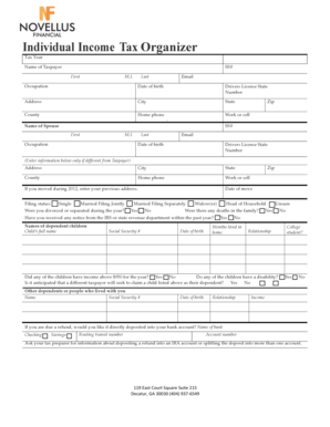 Individual Income Tax Organizer