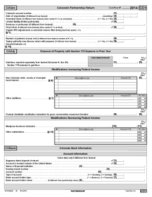 Colorado Partnership Return Overflow Form