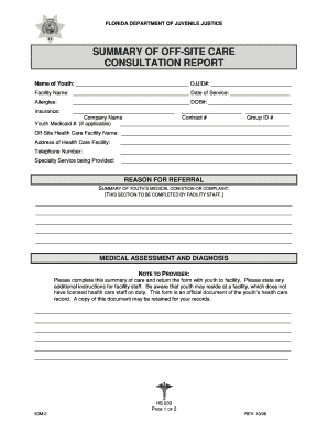 Florida Department of Juvenile Justice Off-Site Care Consultation Report