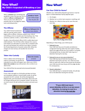 Juvenile Detention Guide