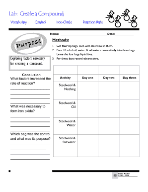 Science Lab Report Template