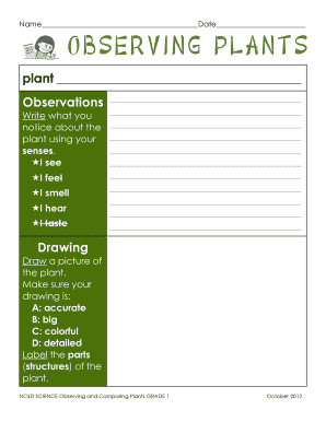 Observing Plants Worksheet