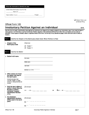 Involuntary Petition Against an Individual
