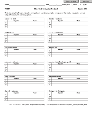 Spanish Verb Conjugation Practice Form