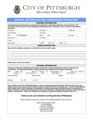 City Board Application Form