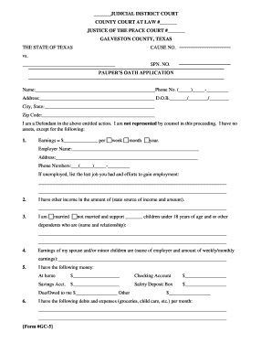 Texas Pauper's Oath Application