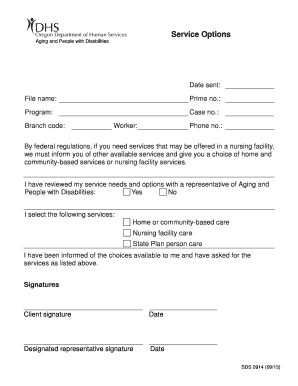 Service Options Form