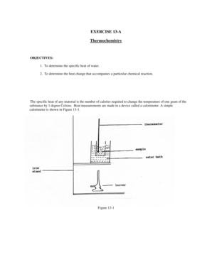 Thermochemistry Experiment Form