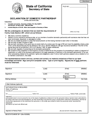 California Domestic Partnership Declaration