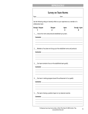 Survey on Team Norms