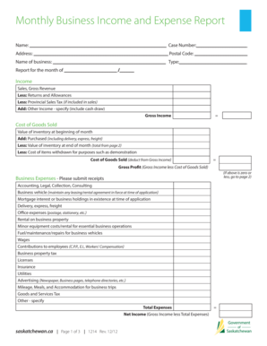 Monthly Business Income and Expense Report
