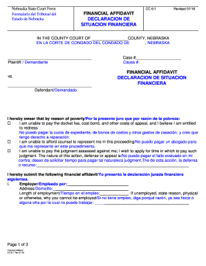 Nebraska Financial Affidavit Form CC 6:1