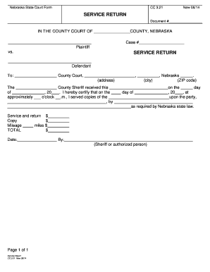 Nebraska State Court Service Return Form