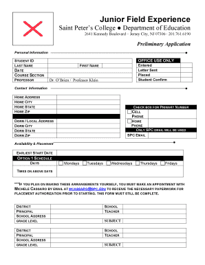 Form preview