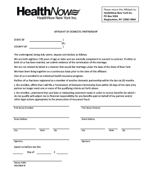 Affidavit of Domestic Partnership