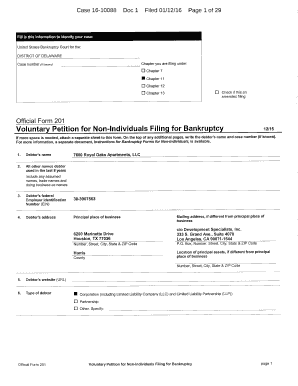 Voluntary Petition for Non-Individuals Filing for Bankruptcy
