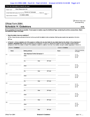 US Bankruptcy Court Codebtor Form