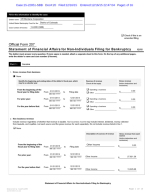 Statement of Financial Affairs for Non-Individuals Filing for Bankruptcy