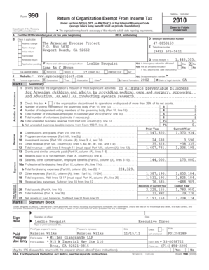 Form 990 2010