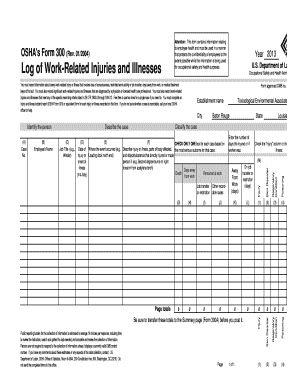 OSHA Form 300 Log of Work-Related Injuries and Illnesses