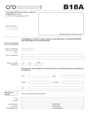 Irish Company Registration Form B18A