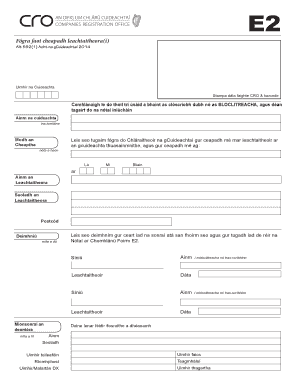 Company Director Appointment Notice