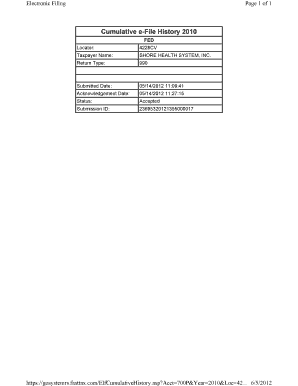 IRS Form 990 2010
