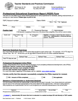 Professional Educational Experience Report Form