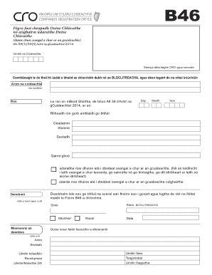 Ireland Company Director Appointment Form
