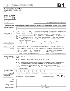 Annual Return Form B1